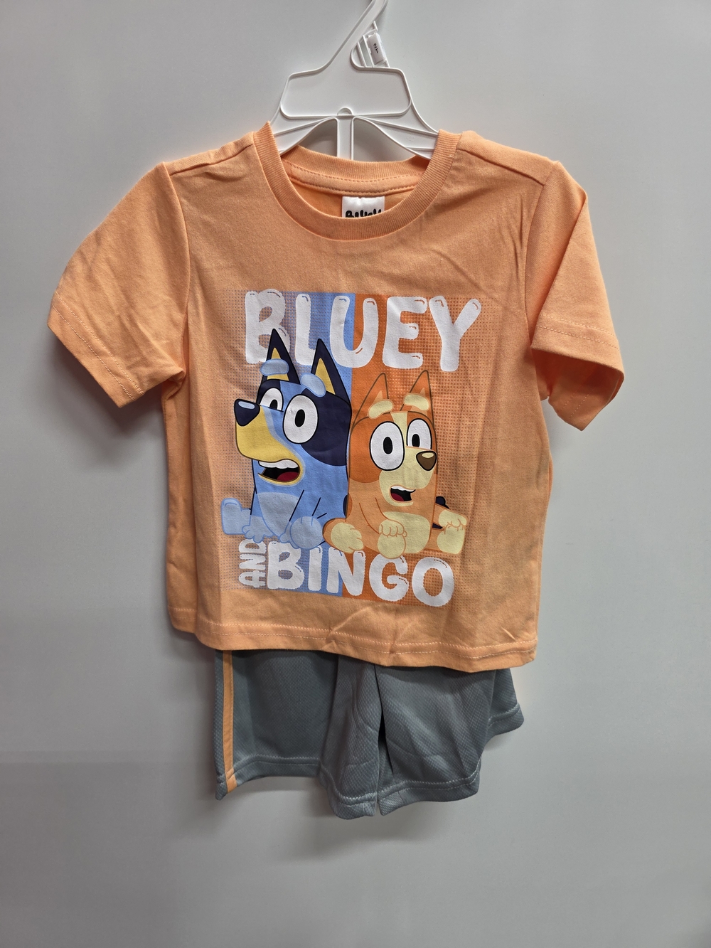Bluey and Bingo Peach Kids Matching Set - Short Sleeve Tee & Shorts